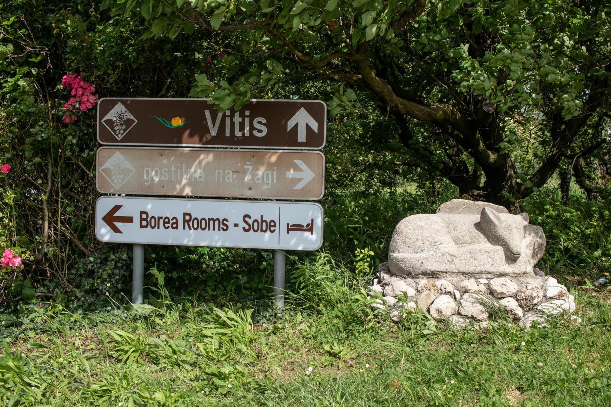Borea Rooms - Sobe Budanje Випава Екстериор снимка